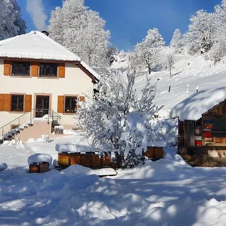 Haus Am Eckle Lägenhet