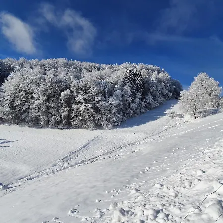 Haus Am Eckle Lägenhet Kleines Wiesental