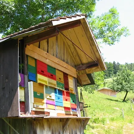 Daire Haus Am Eckle Kleines Wiesental