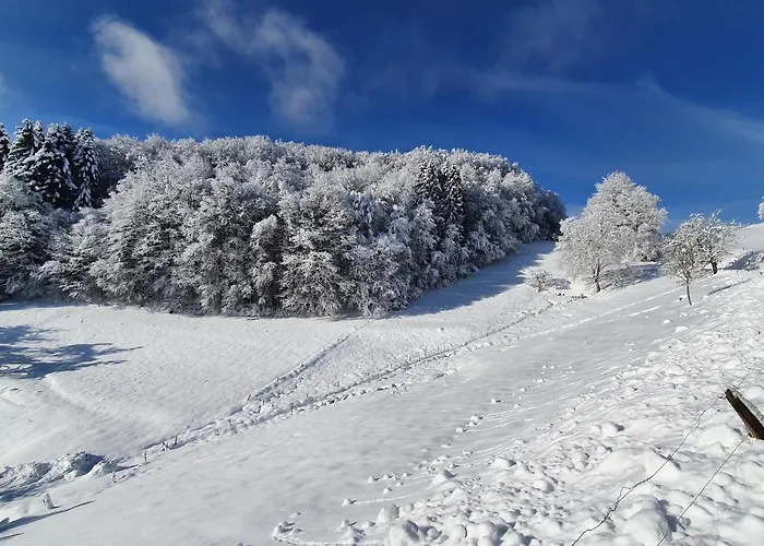 Haus Am Eckle Lejlighed Kleines Wiesental