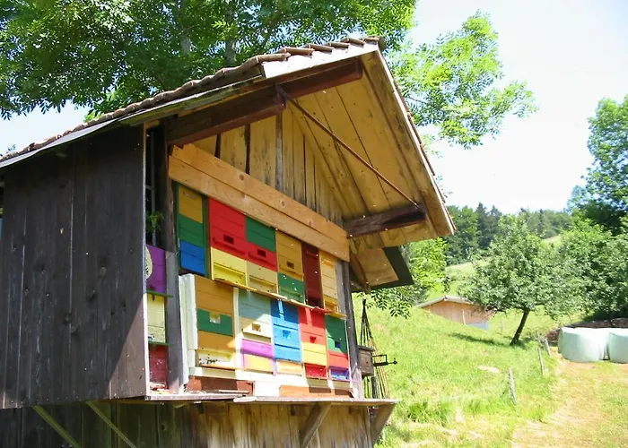 Lägenhet Haus Am Eckle Kleines Wiesental